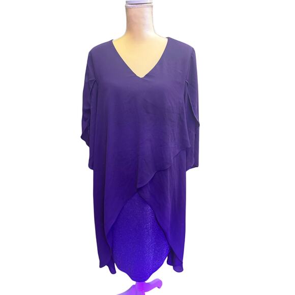 Elegant & Sparkling Plus Size Dress - Picture 1 of 9